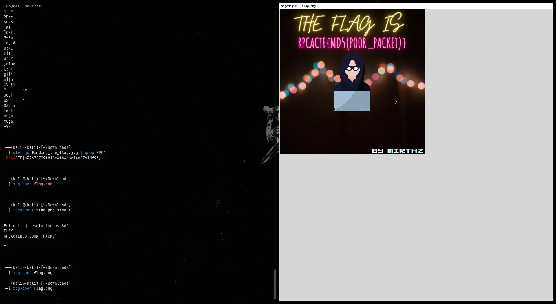 WireShark Screenshot