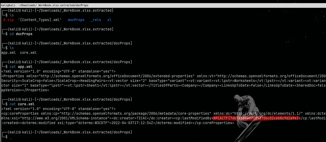 excel after extracted using binwalk -e